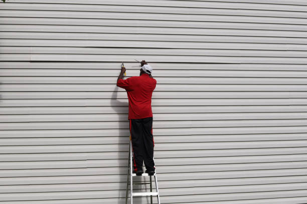 Best Insulated Siding Installation  in Heber, CA