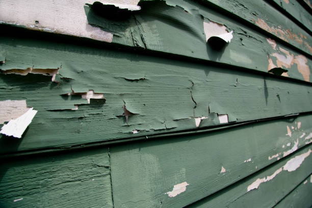 Best Siding Painting and Refinishing  in Heber, CA