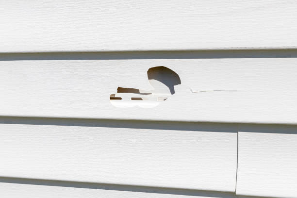 Reliable Heber, CA Siding Services Solutions