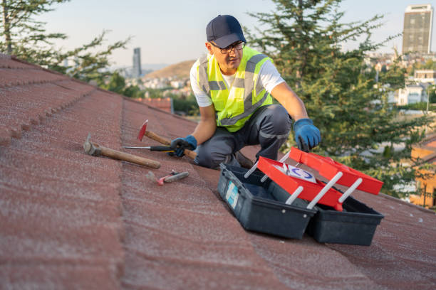 Best Stucco Siding  in Heber, CA